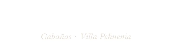 Logo de Punta Negra
